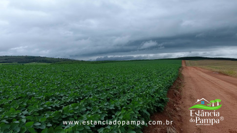 DOS EÓLICOS VIRA P FAZENDA_Moment.00_02_17_08.Quadro156_fa9ab496df7445b974a0cb2aaae49fd235339608.jpg